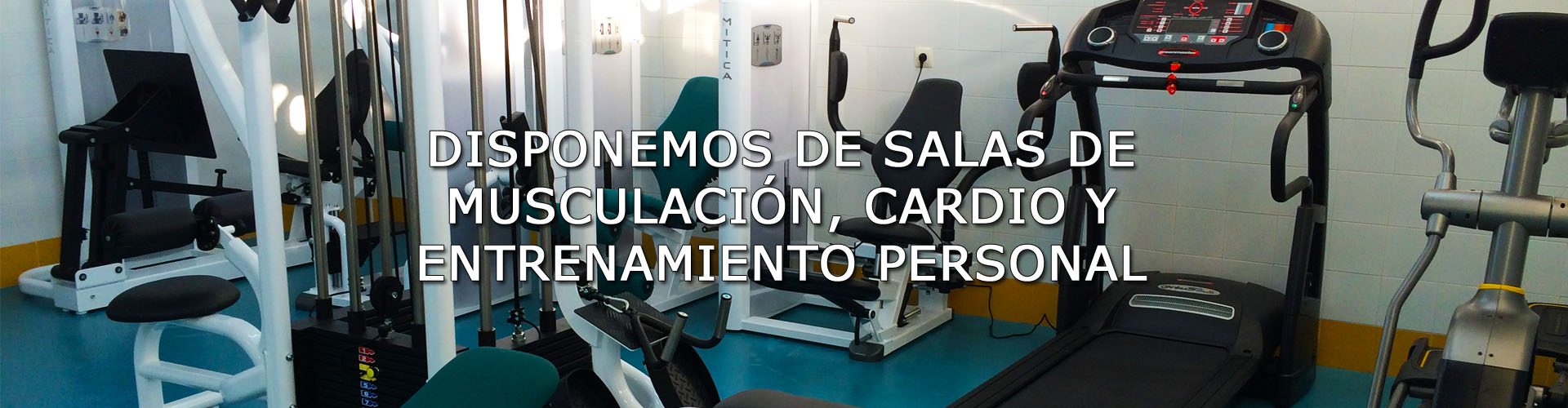 Entrenamiento personal