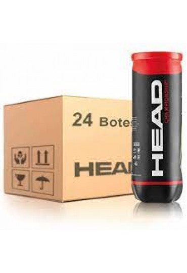 038.Tenis Head Championship