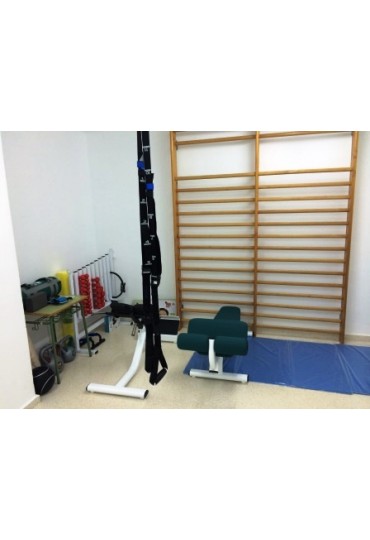 Rehabilitación Funcional